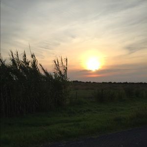 Meet your Posher, Krystal